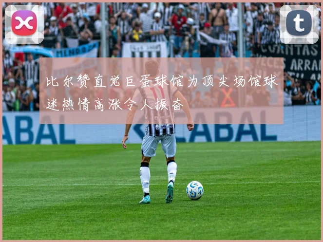 比尔赞直觉巨蛋球馆为顶尖场馆球迷热情高涨令人振奋