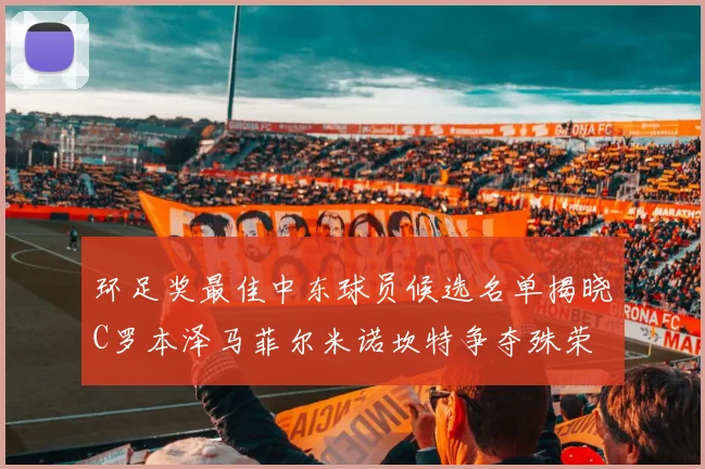 环足奖最佳中东球员候选名单揭晓C罗本泽马菲尔米诺坎特争夺殊荣