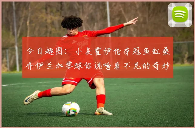 今日趣图：小麦霍伊伦夺冠鱼缸桑乔伊兰加零球你说啥看不见的奇妙瞬间