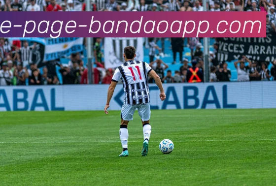 半岛体育发展历程